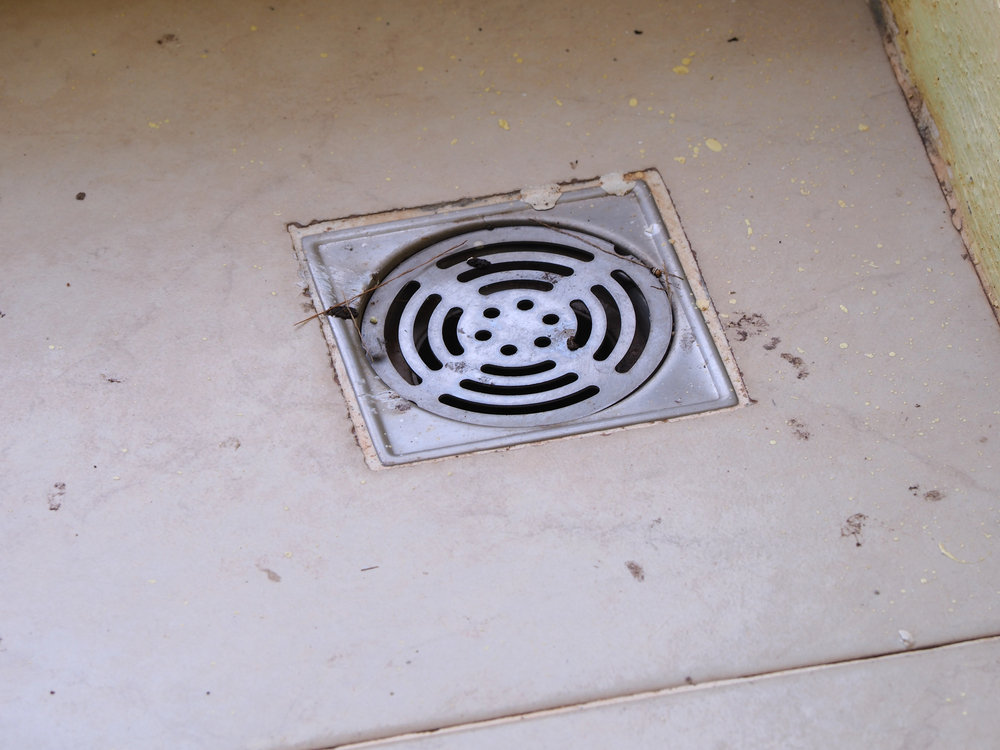 Cabelos e ralos entupidos 2